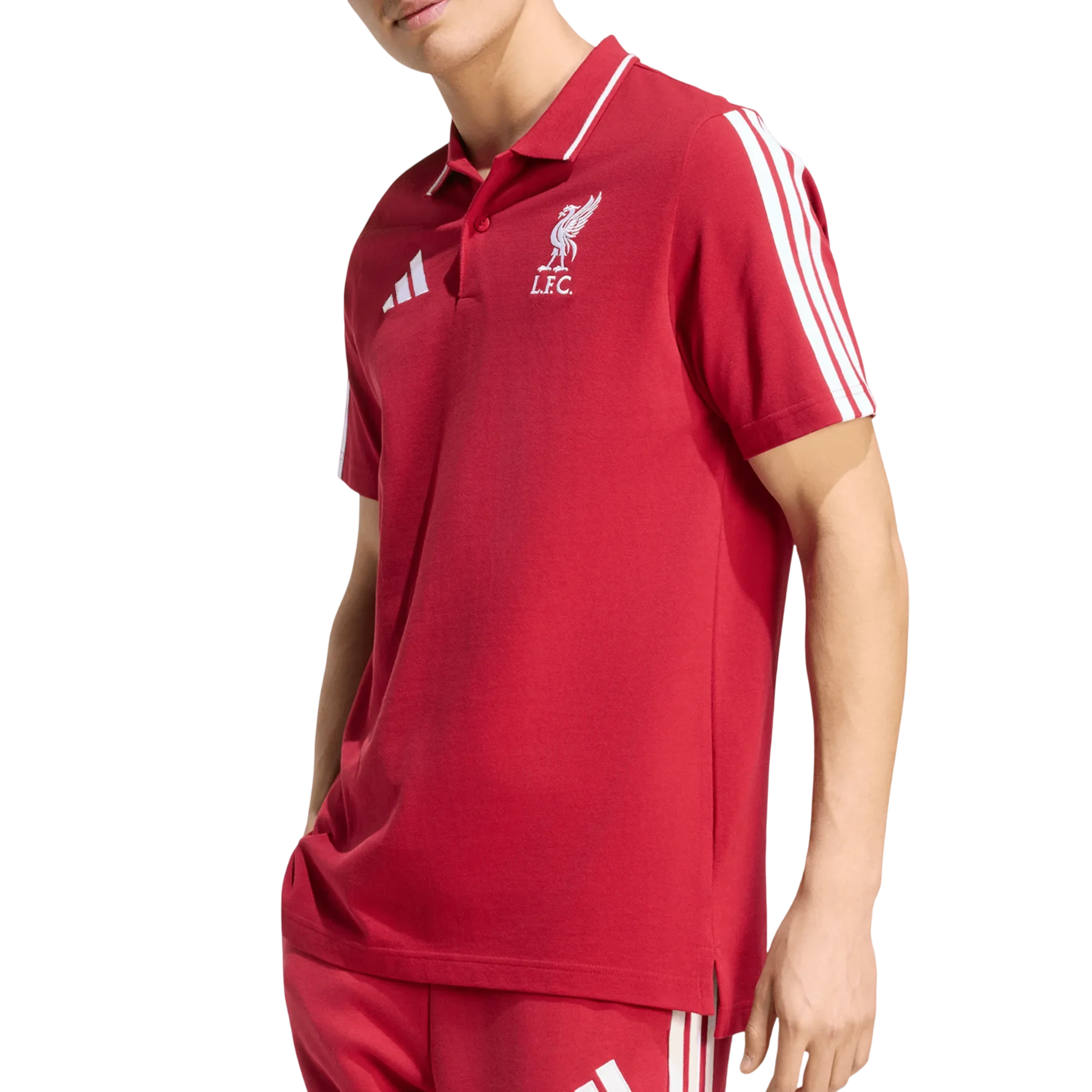 Completo Adidas Liverpool