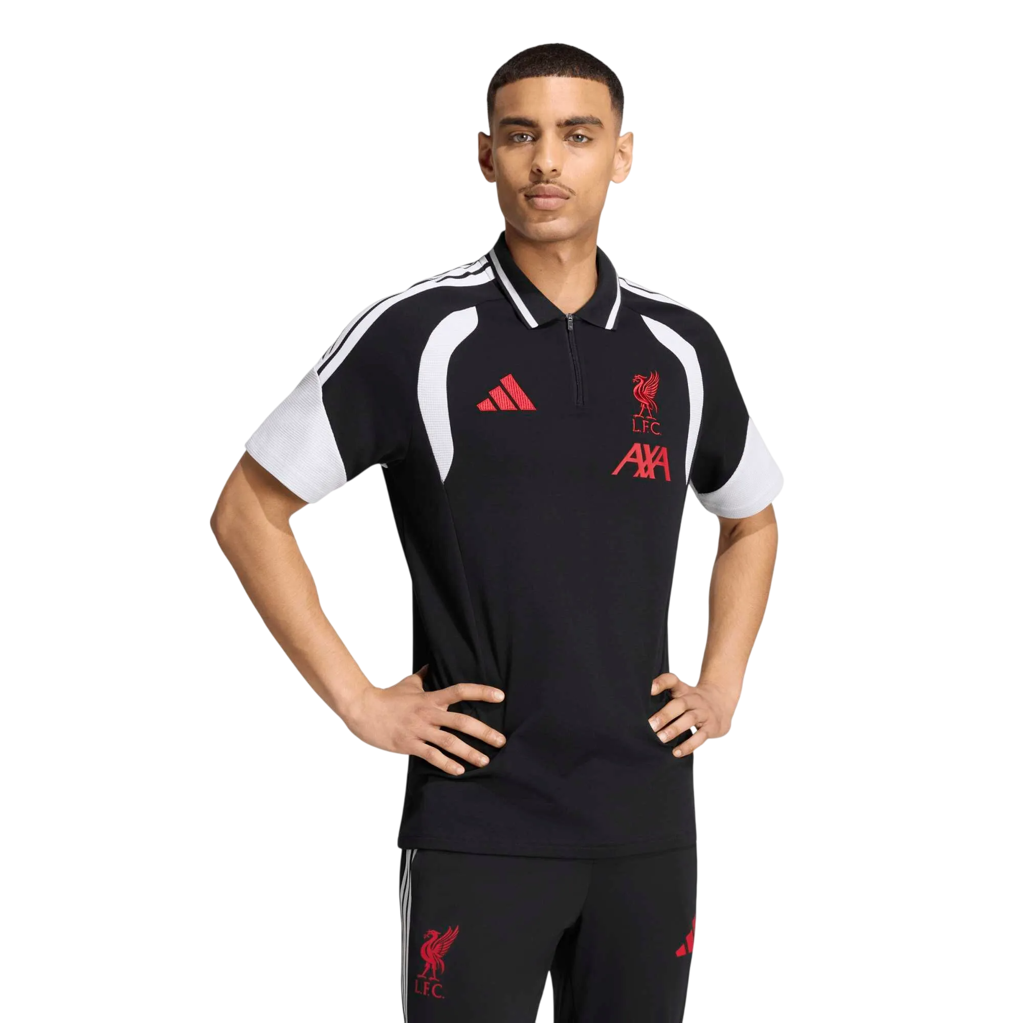 Completo Adidas Liverpool